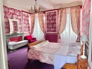 L'Hotel de Hercé Chambre d'Hote - Mayenne - 3