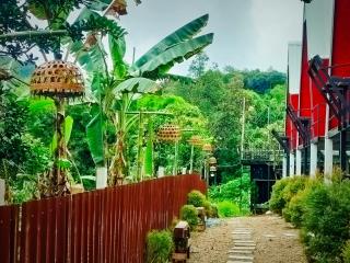 หัวน้ำฮิลล์huanamhill - Pua - 1
