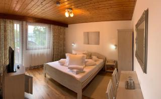 Vila Thomas - Sinaia - 2