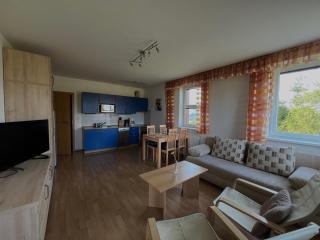 Ski Apartmán Salomon - Loučná pod Klínovcem - 0