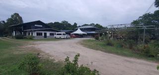 Sukau Village View Stay & Backpackers - Sukau - 7
