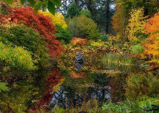 Home in Dunoon Argyll and Bute - Dunoon - 7