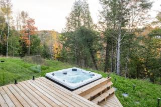 Maison Ensoleillée Mont-Tremblant - La Conception - 2