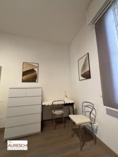 Il Leoncino - Bolonia - 1