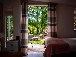 The Cwtch - Woodland cabin with country views! - 9