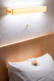 Hotel Haus Schönstatt contactless-Check-In - Brig - 3