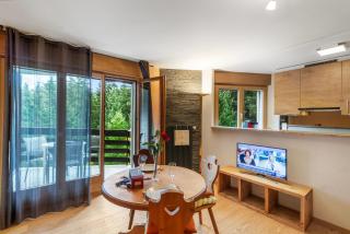 Chaleureux studio avec vue sur les montagnes - 1