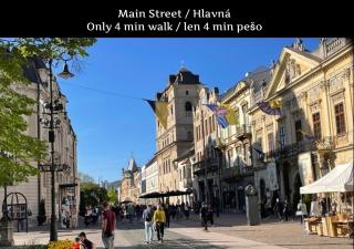S8 Luxury 2 Room Apt OldTown - Foodstore, Crib, BabyChair, Netflix, PC Screen, UnlimMusic - Košice - 7