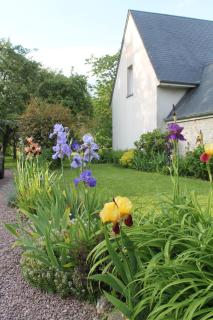 Gîte Bienvenue chez Naty - Audrieu - 8