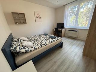 Nemes Apartman - Szeged - 3