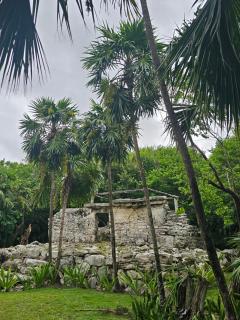 Casa KURI - Playa del Carmen - 7
