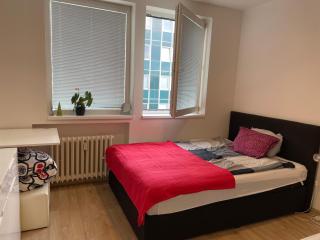 Friendly small flat for nomads - Praga - 0