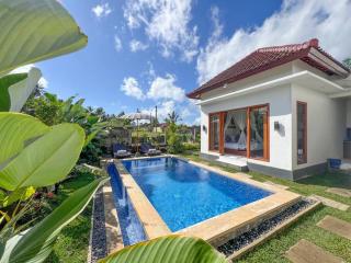 D'carik Villa - Ubud - 0