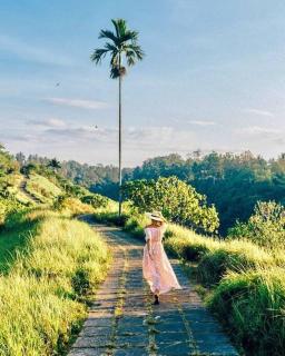 D'carik Villa - Ubud - 7