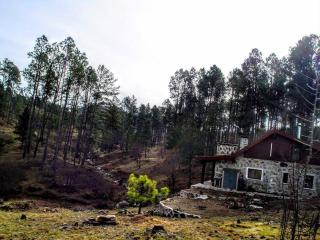 Cabaña villa alpina Mantillo de bosque - 3