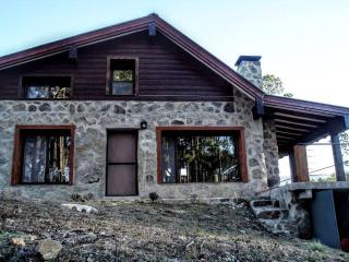 Cabaña villa alpina Mantillo de bosque - Villa Alpina - 5
