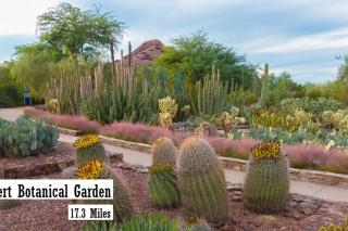 Modern 3-BR Condo near Kierland - Scottsdale - 4