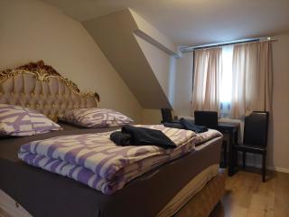 Hotel Bruchsal Herz - Bruchsal - 5