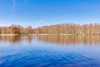 River Nirvana - River front property - Deep water boat dock - Toano - 6