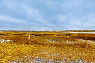 The Eastern Avenue Cottage - 2