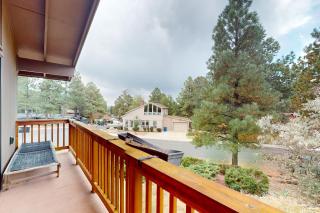 Treetop Oasis - Flagstaff - 1