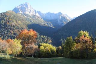 Villa Alpina Campiglio - Madonna di Campiglio - 1