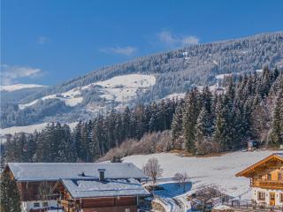 Premium Apartments AlmrauschEdelweiß - 3