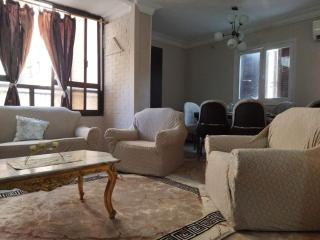 air-conditioned apartment at nasrcity - Cairo - 8