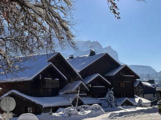 4 pièces spacieux bien équipé avec Wi-Fi et parking, au pied du ski bus - FR-1-572-241 - Les Carroz-d'Araches - 9