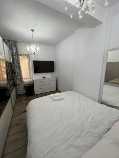 Central Cozy Apartament - Craiova - 2
