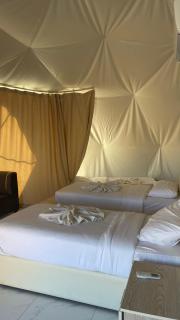 Lara Luxury Camp - Wadi Rum - 3