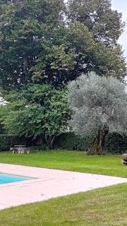 Casa da Tília -  - 5