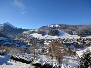 Appartement cosy à Morzine - 2 pièces, piscine, balcon, parking - 4 pers - FR-1-684-50 - Morzine - 2