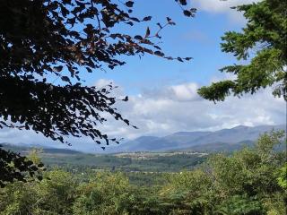 Rowantree - Kiltarlty - 8