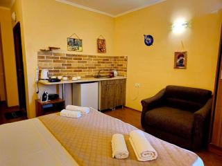 Apartment in Bakuriani near Didveli - Bakuriani - 5