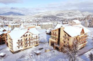 Apartment in Bakuriani near Didveli - Bakuriani - 2
