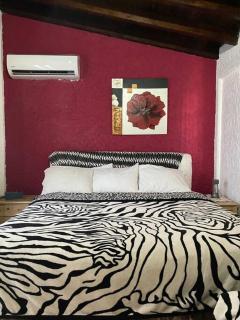 Casa Rústica con jardínes en excelente ubicación - 6