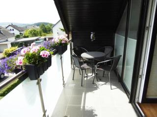 Helga Willing Comfortable holiday residence - Meschede - 8