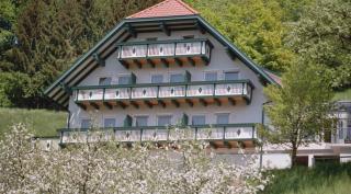 Gasthof-Pension Ölberger - Wolfsberg - 6