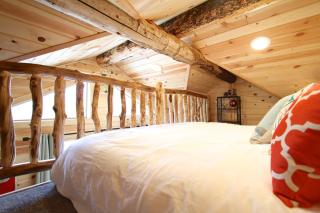 The Treehouse - 8