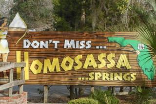 Sunset Oasis Pool Home - Homosassa - 1