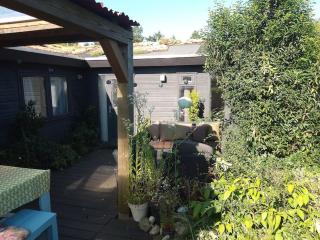 Voorthuizen chalet nabij de bossen - 1