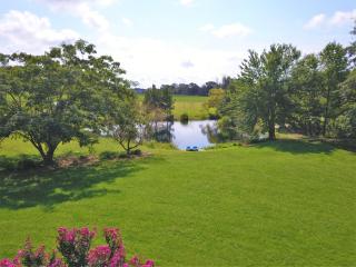 3 guest rooms 2 shared baths - Milford - 9