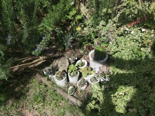 Para pasar bien! - 3