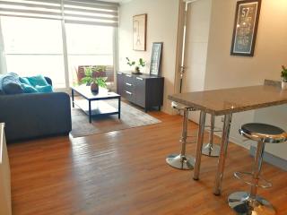 Exclusivo departamento a pasos del centro - Puerto Montt - 5