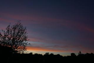 Manor Park View - Norwich - 8