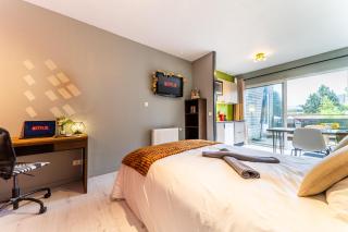 L Orea - Canon d Or - Terrasse - Wifi - Parking Gratuit - Lambersart - 6