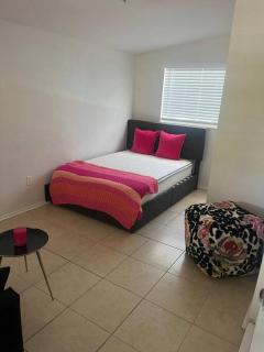 St Petersburg Pool home 10 minutes away from the Beaches - 4