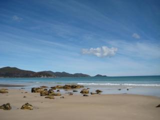 Sisters Beach House - Sisters Beach - 0