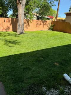 Shared house Central Denver- Queen sleeper sofa-24hr self check in one person - 3